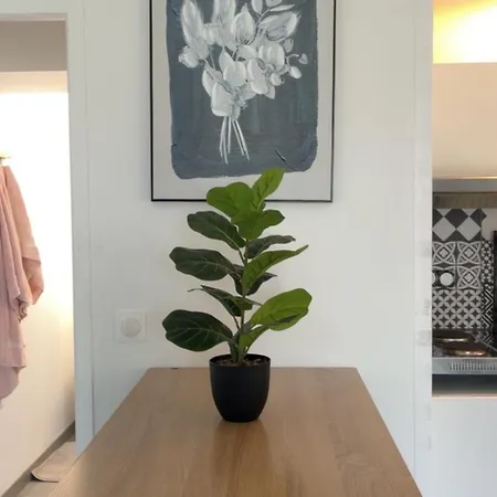 Avec Jardin Terrasse Et Parking Prive Διαμέρισμα
