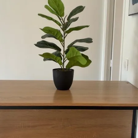 Avec Jardin Terrasse Et Parking Prive Διαμέρισμα *